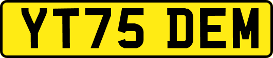 YT75DEM