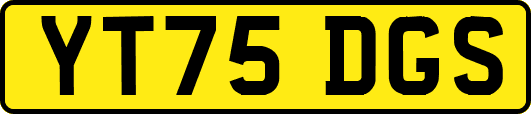 YT75DGS
