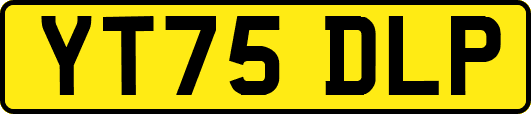 YT75DLP