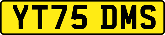 YT75DMS