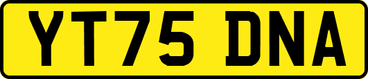 YT75DNA