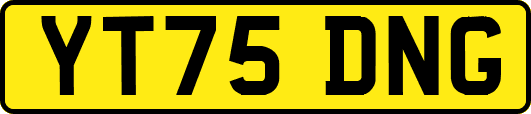 YT75DNG