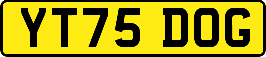 YT75DOG