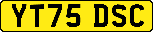 YT75DSC