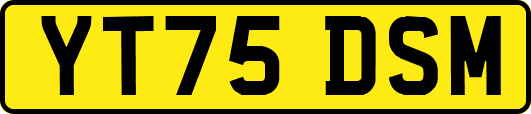 YT75DSM