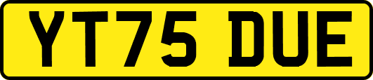 YT75DUE