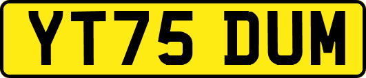 YT75DUM