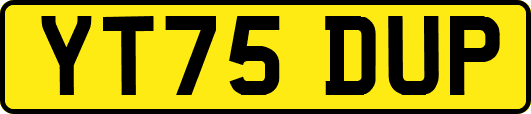 YT75DUP