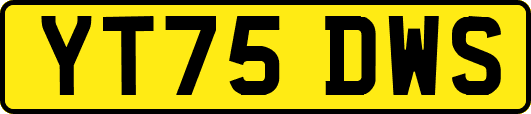YT75DWS