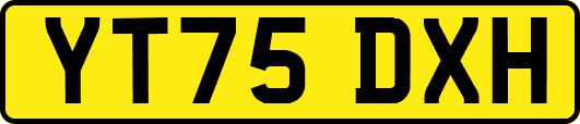 YT75DXH