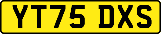 YT75DXS