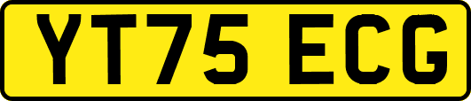 YT75ECG