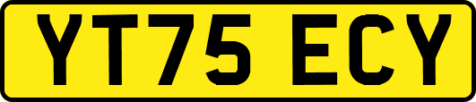 YT75ECY