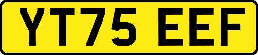 YT75EEF