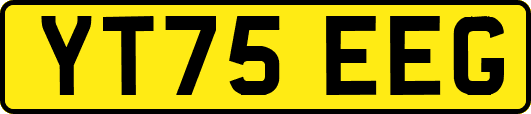 YT75EEG