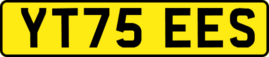 YT75EES