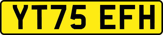 YT75EFH