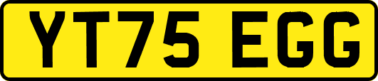 YT75EGG