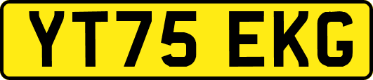YT75EKG
