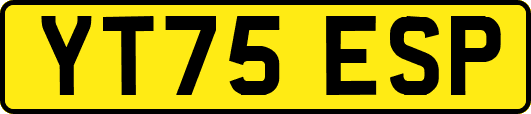 YT75ESP
