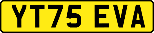 YT75EVA