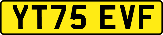 YT75EVF