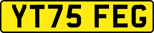 YT75FEG