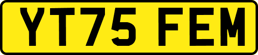 YT75FEM