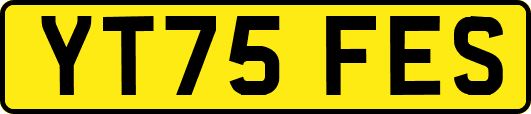 YT75FES
