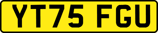 YT75FGU