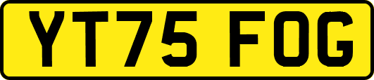 YT75FOG