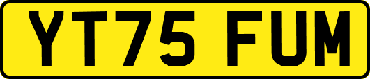 YT75FUM