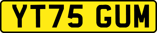 YT75GUM