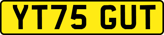 YT75GUT