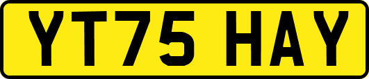 YT75HAY