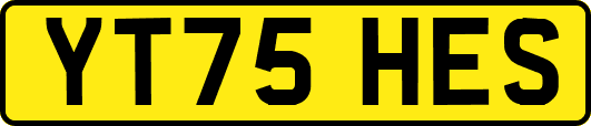 YT75HES