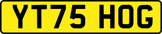 YT75HOG