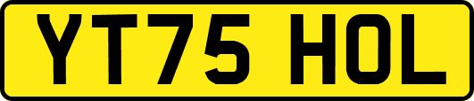 YT75HOL