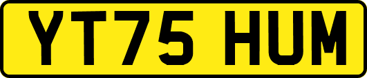 YT75HUM