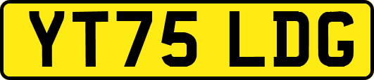 YT75LDG