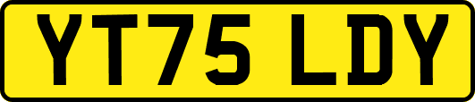 YT75LDY