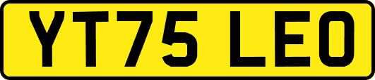YT75LEO