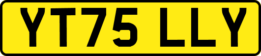YT75LLY