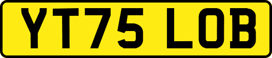 YT75LOB