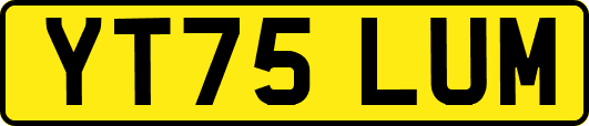 YT75LUM