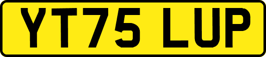 YT75LUP
