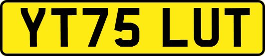 YT75LUT