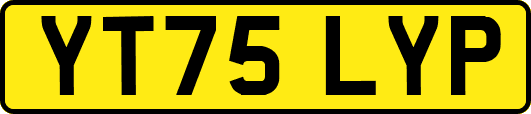 YT75LYP