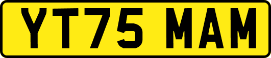 YT75MAM