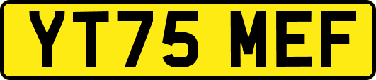 YT75MEF